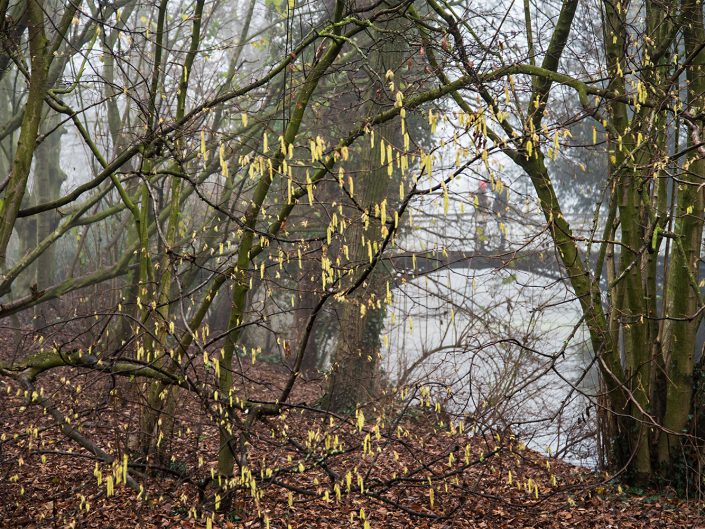 landschapsfotografie-documentaire-editorial